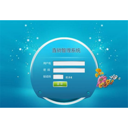友拓軟件 一站式在線咨詢，開啟高效系統開發之旅